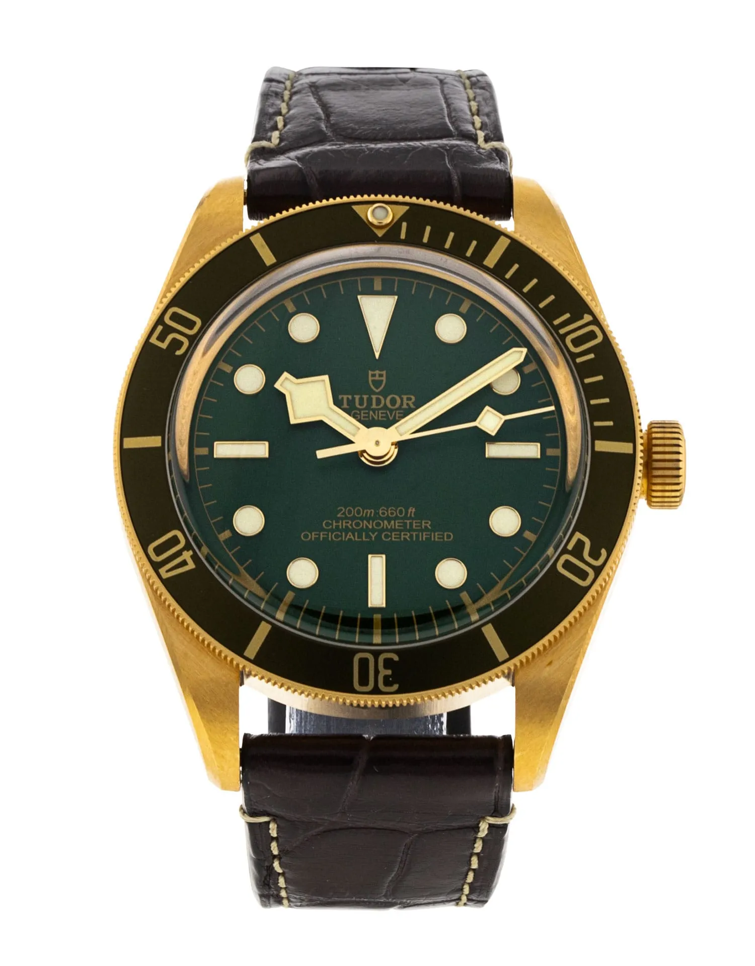 Tudor Black Bay 58 M79018V-0001 403168