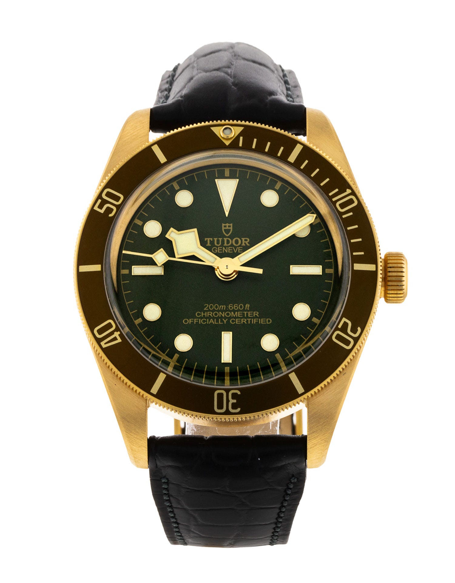 Tudor Black Bay 58 M79018V-0001 432176